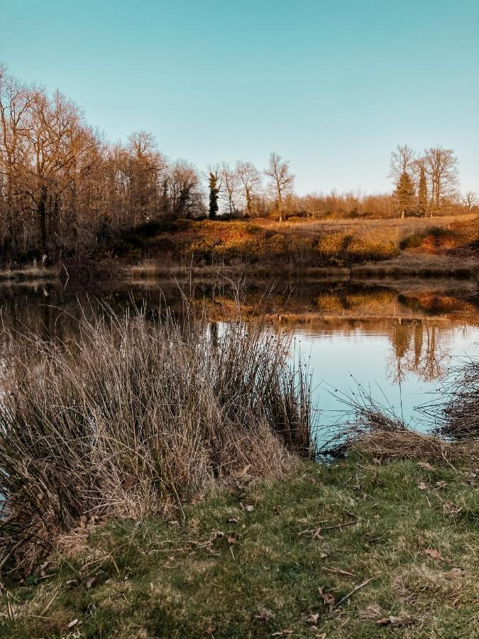 La Ferme Du Pont De Maumy, Cabane Au Bord De L'Etang Et Bain Nordique Busserolles Exterior photo